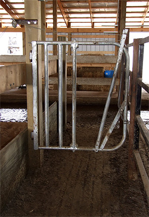 Sikkema Alley Catch Gate